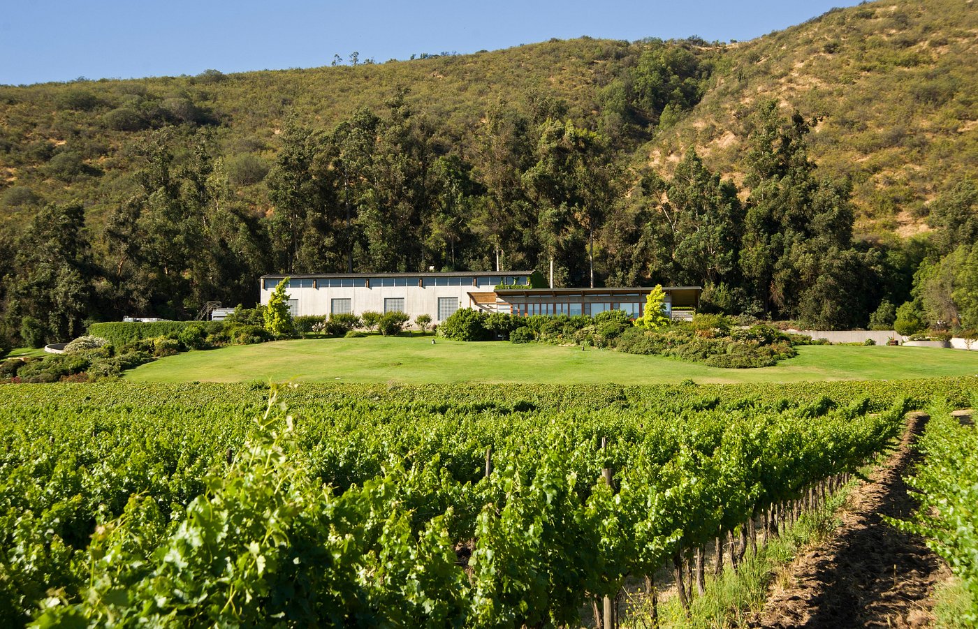 Odfjell Vineyards