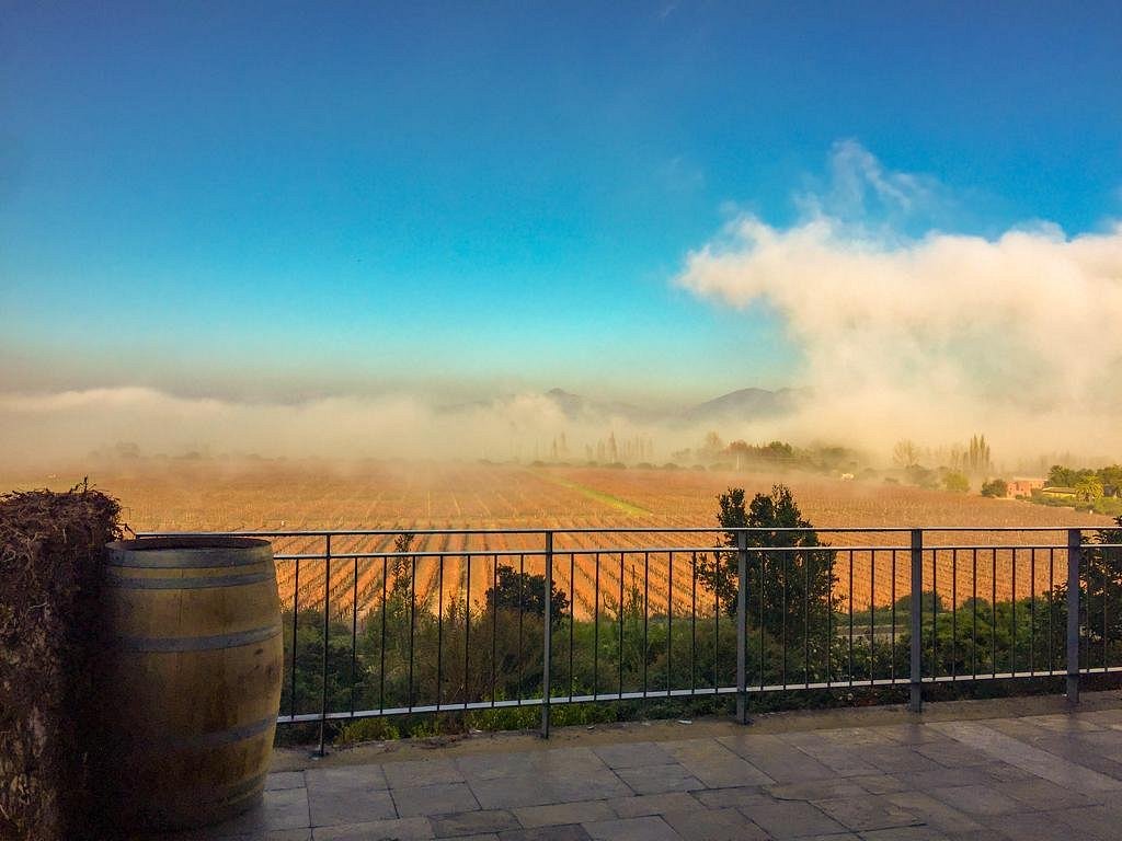 Odfjell Vineyards